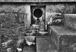 Input by Dennis H. Miller