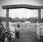 The Disappearance of Annie Oakley by Brian Key