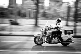 Police in Motion by Peter Schoen