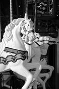 Carousel by Jeff Moon
