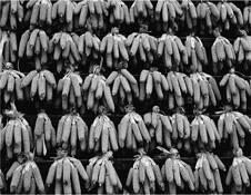 Drying Corn by Jeffrey Glasser