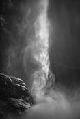 Spirit Bird in the Mist by William S. Person