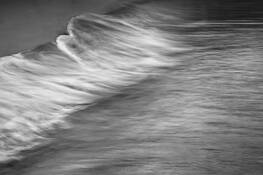 Wash Ashore by William S. Person