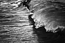 Wave Moment by William S. Person