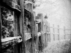 Fence in Fog by Jim Berry
