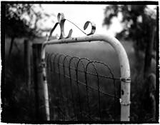 Bingham Hill by Blake D. Dieters