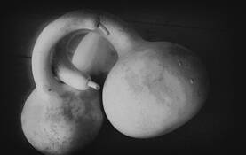 Untitled 19 by Alan Hans