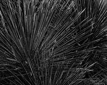 A Sticky Situation by Dennis Fritsche