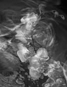 Reflection by Victoria Ruderman