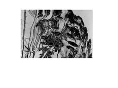 Sticks by Kay Tweeten