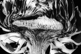 Artichoke by Diane Silverman