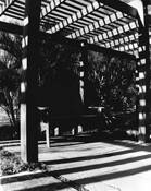 Untitled 3 by Brittney Cook