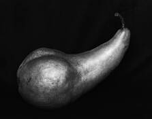 Pear by Jeff Unger