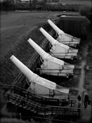 White Canons by Carlos Rego