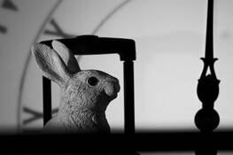 White Rabbit by Carlos Rego