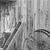 Still Life in 'Em' by Charles