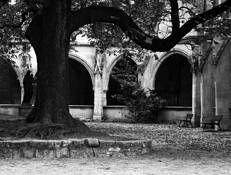 Left Bank Madonna by Charles F. Mason