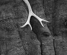 Untitled 11 by Chuck Kimmerle