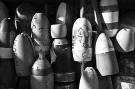 Untitled by Colleen Blaine