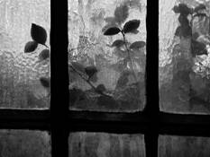 Church Window by Tom Green