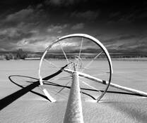 Waiting for Spring by Vern Bartley