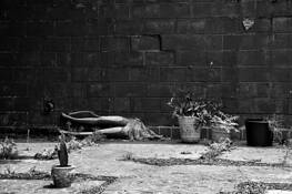 Still Love You by Victoria Montoro Zamorano