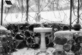Winter Bird Bath by Virgil DiBiase