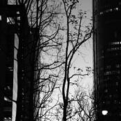 Urban Dusk by Byong-Ho Kim