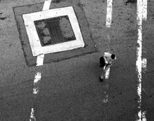 Crossing by Susan B. Griffith