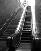 Oakland Station by Todd Hartzo