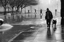 Rainy Day by Water Leporati