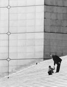 La Defense by Patricia Jane Sweet