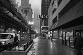 Gold Coast Dogs by James C. Wallar