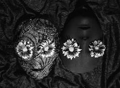 Untitled #2 by Diane Silverman