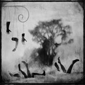 The Garden by Eduardo Fujii