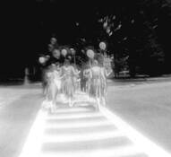 Herd Mentality 1 by Lodiza LePore