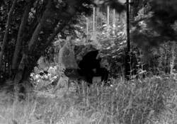 Memory of a Breakup by Magnus Karlson