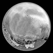 Jellyfish by Mary Woodman