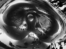 Cloud Gate Reflection by Tina Link