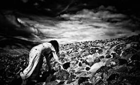 Ascending by Gray Hawn