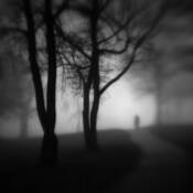 Between Light and Shadow by Igor Svibilsky