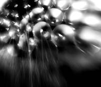 Ellipsoid 1 by Joanne Scherf