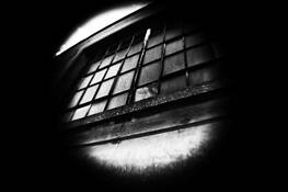 Fashion Victim by Kate Kaluzny