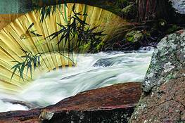 Elemental by Bill T. Saul