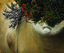 End of Summer by Allan R. Lamb