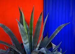 Barrio Detail by Ari Plosker