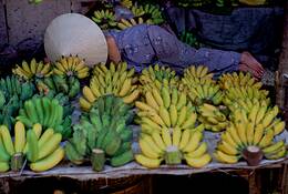 Banana Vendor by Armando Lindner