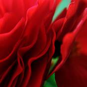 Layers by Carol MacLeod