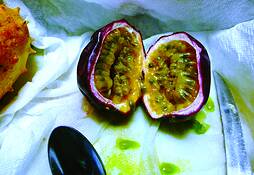 Passion Fruit by Carolyn Doucette