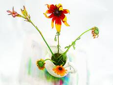 On the Wane #2 by Chris Morrow